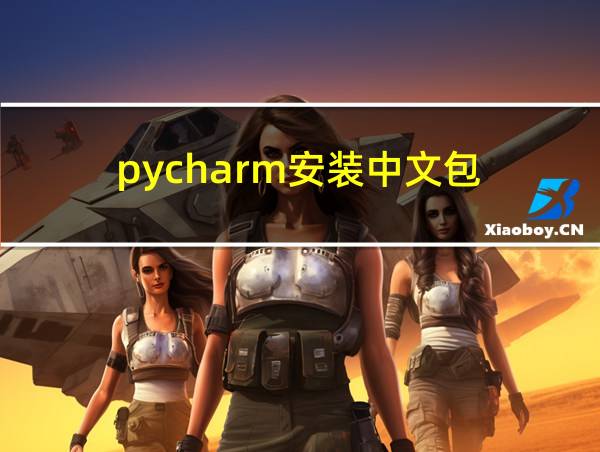 pycharm安装中文包的相关图片