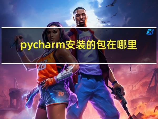 pycharm安装的包在哪里的相关图片