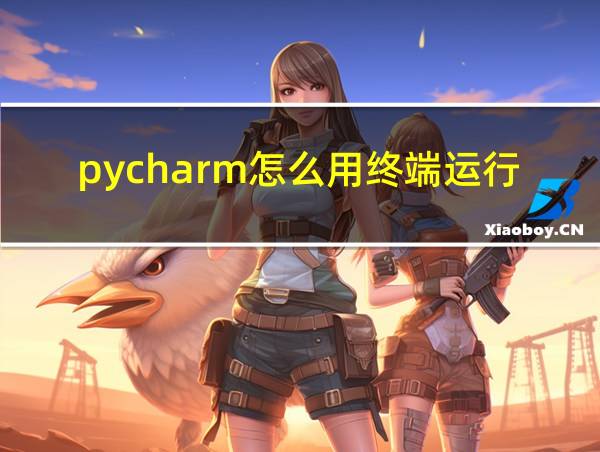 pycharm怎么用终端运行的相关图片