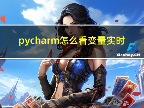 pycharm怎么看变量实时的相关图片