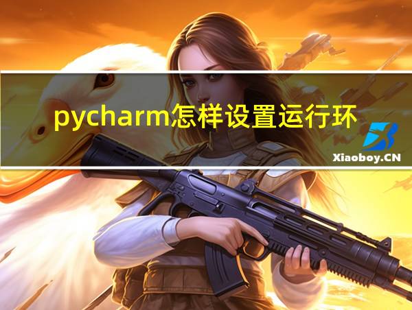 pycharm怎样设置运行环境的相关图片