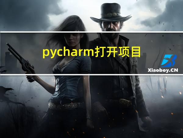 pycharm打开项目的相关图片