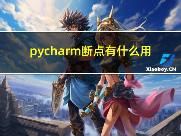 pycharm断点有什么用的相关图片