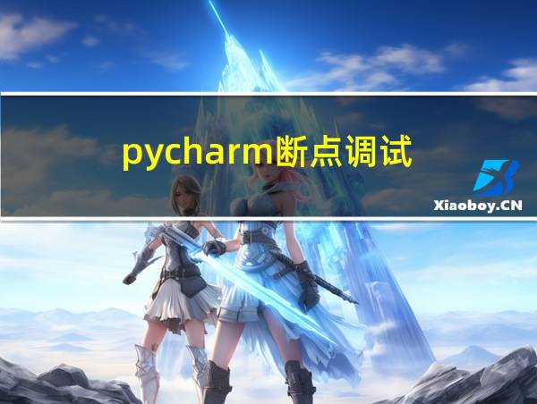 pycharm断点调试的相关图片