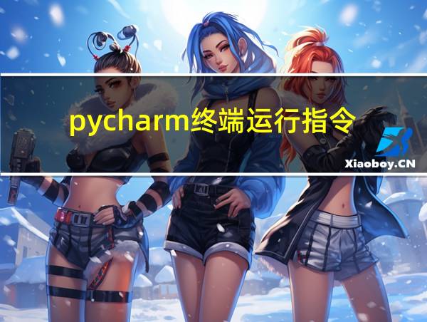 pycharm终端运行指令的相关图片