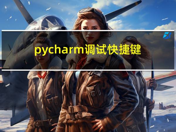 pycharm调试快捷键的相关图片