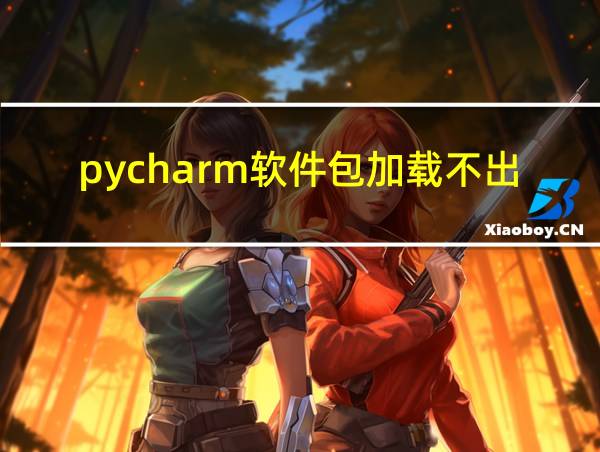 pycharm软件包加载不出来的相关图片