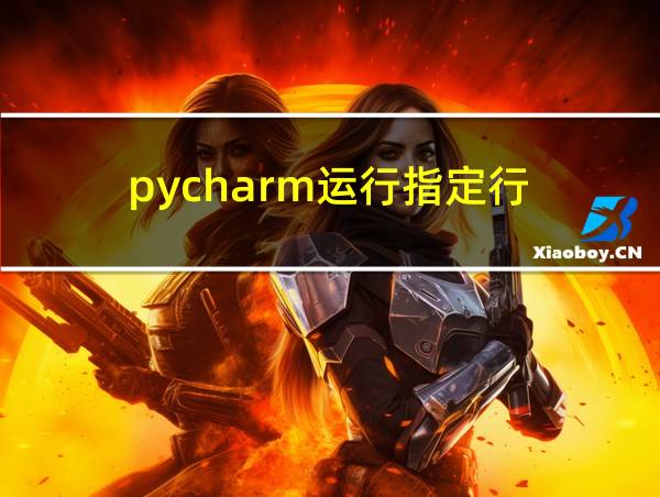 pycharm运行指定行的相关图片