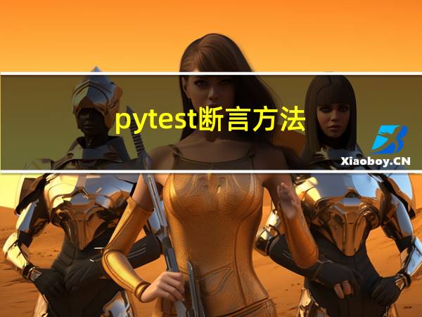 pytest断言方法的相关图片