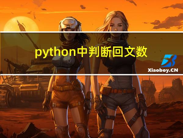 python中判断回文数的相关图片