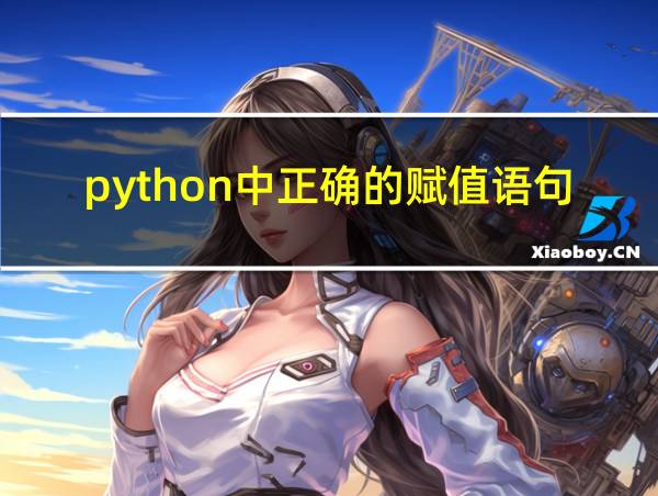 python中正确的赋值语句有哪些的相关图片