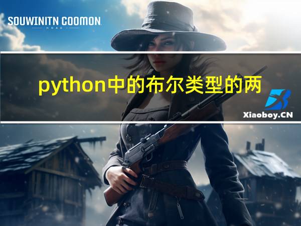 python中的布尔类型的两种值的相关图片