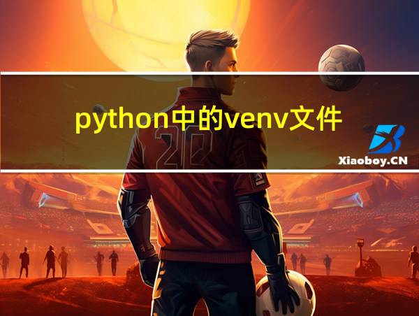 python中的venv文件的相关图片