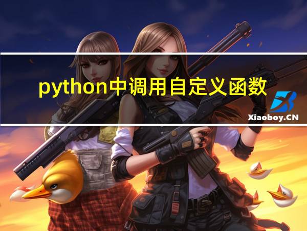 python中调用自定义函数的相关图片