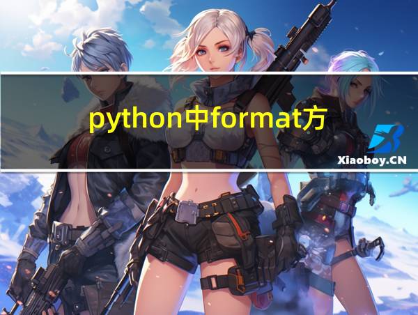 python中format方法的相关图片