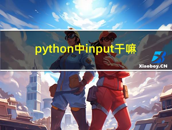 python中input干嘛的的相关图片