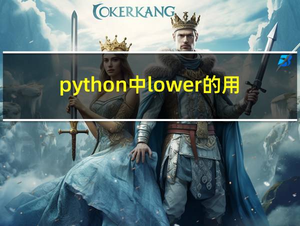 python中lower的用法的相关图片