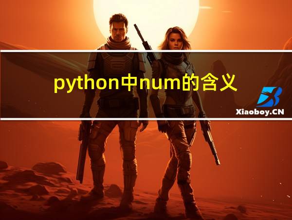 python中num的含义的相关图片