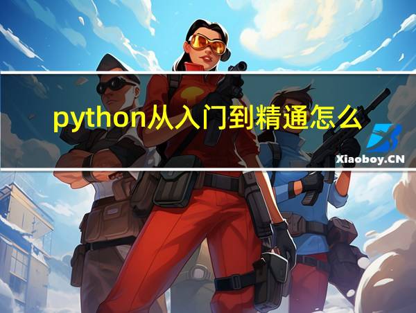 python从入门到精通怎么样的相关图片