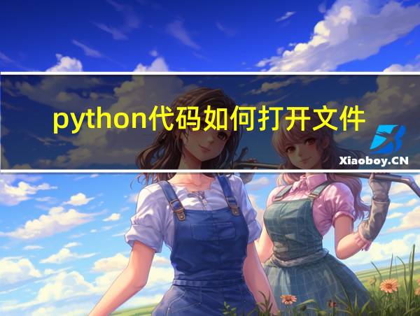 python代码如何打开文件的相关图片