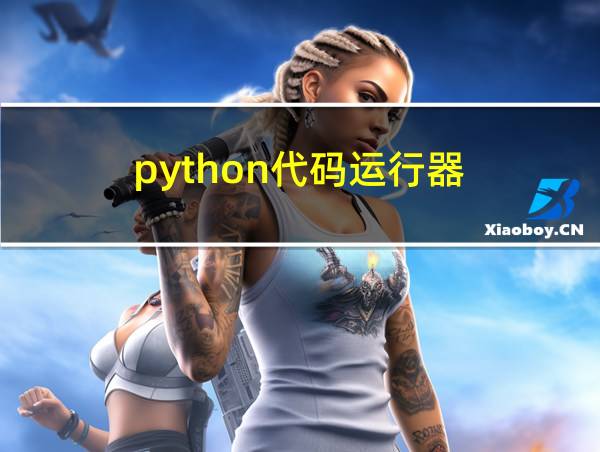 python代码运行器的相关图片