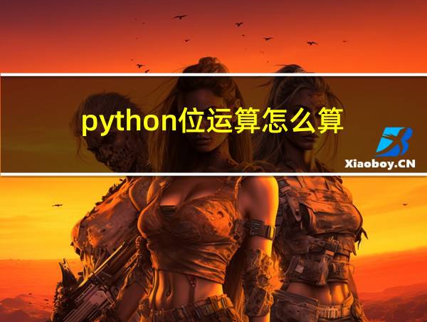 python位运算怎么算的相关图片