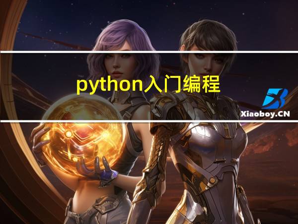 python入门编程的相关图片