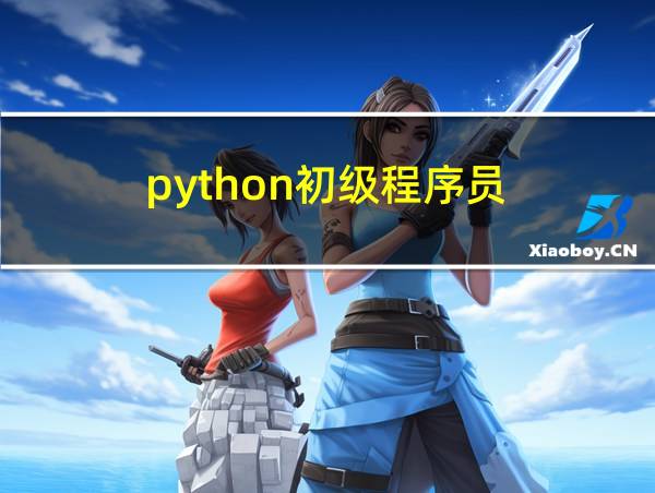 python初级程序员的相关图片