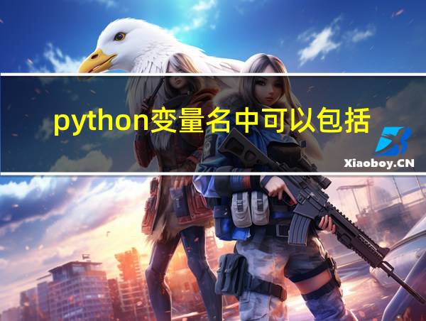 python变量名中可以包括的相关图片