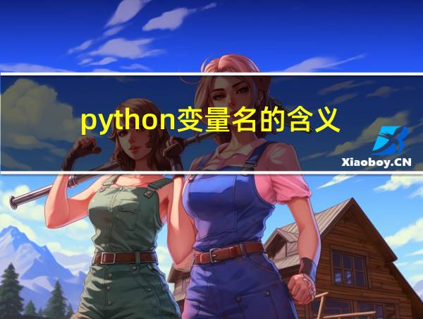 python变量名的含义的相关图片