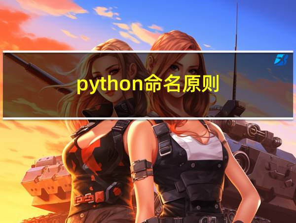 python命名原则的相关图片