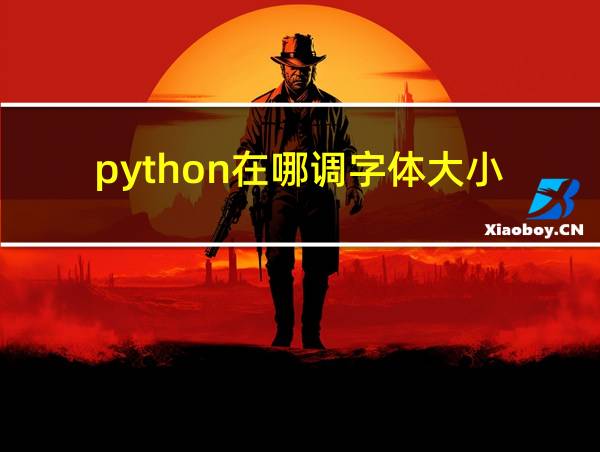 python在哪调字体大小的相关图片