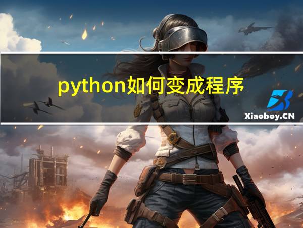 python如何变成程序的相关图片