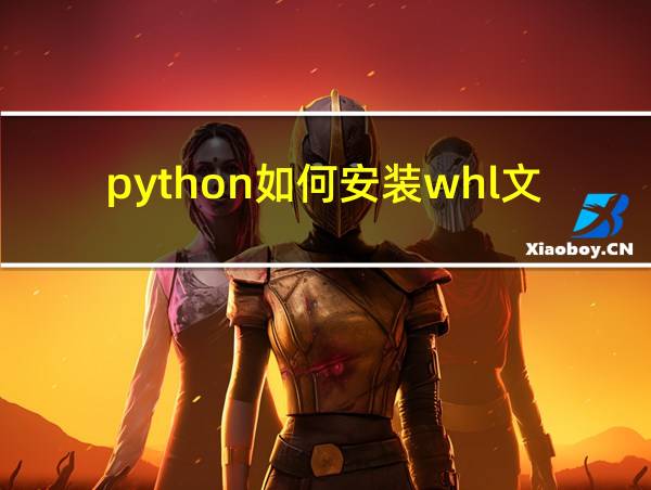 python如何安装whl文件的相关图片