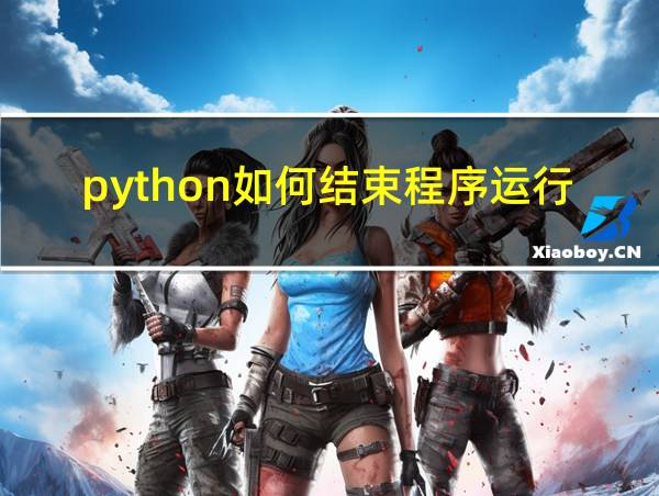 python如何结束程序运行的相关图片