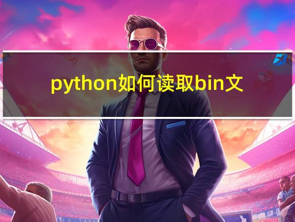 python如何读取bin文件的相关图片