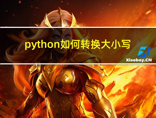 python如何转换大小写的相关图片