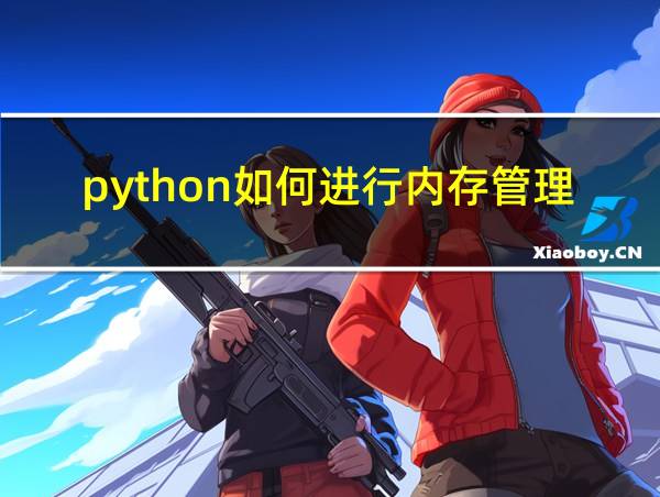 python如何进行内存管理的相关图片