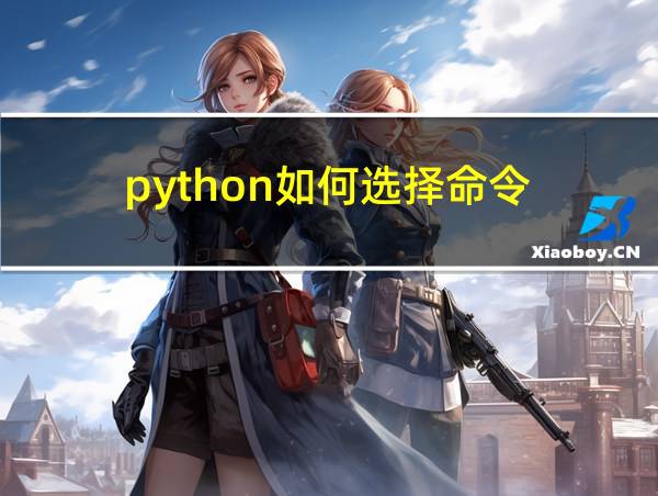 python如何选择命令的相关图片