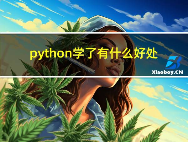 python学了有什么好处的相关图片