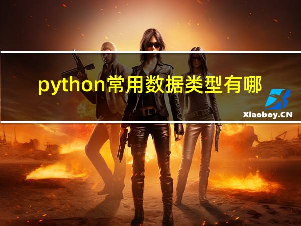 python常用数据类型有哪些的相关图片