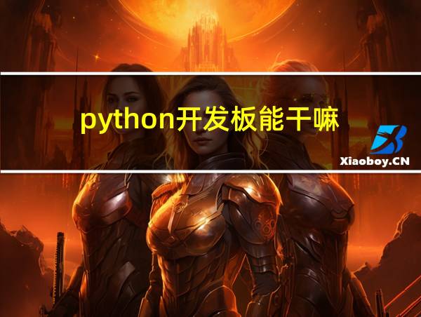 python开发板能干嘛的相关图片