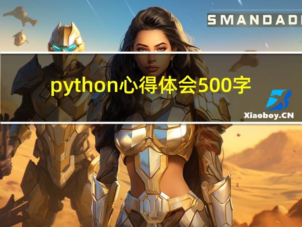 python心得体会500字的相关图片