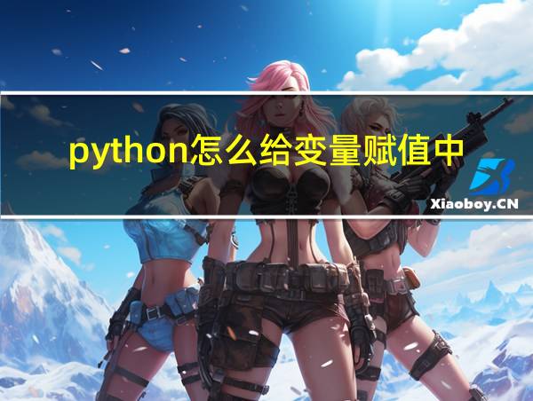 python怎么给变量赋值中文的相关图片