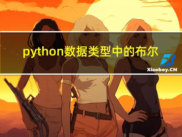 python数据类型中的布尔类型的相关图片