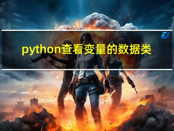 python查看变量的数据类型的相关图片