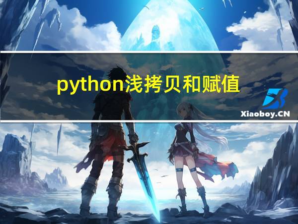 python浅拷贝和赋值的相关图片