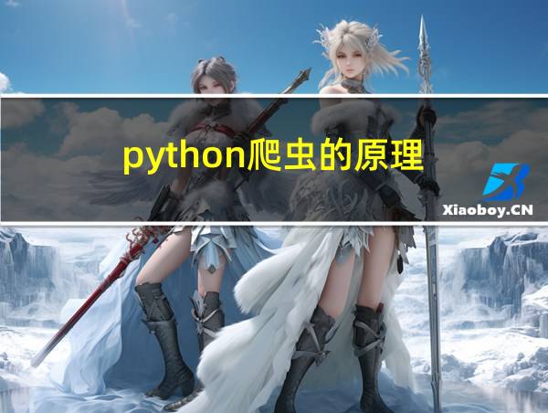 python爬虫的原理的相关图片