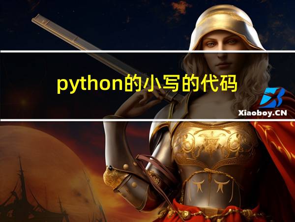 python的小写的代码的相关图片