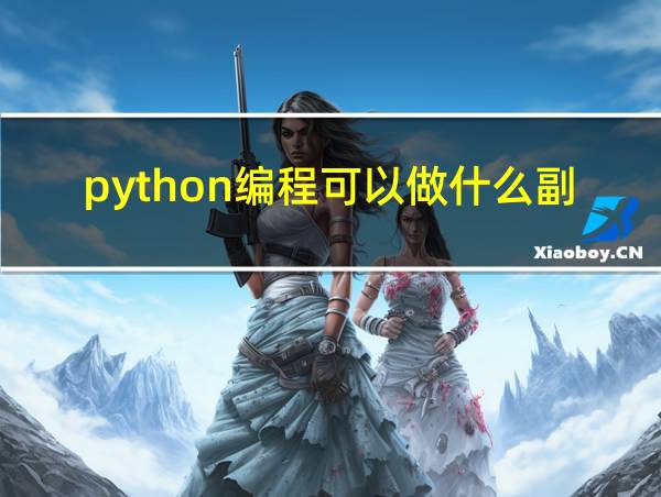 python编程可以做什么副业的相关图片